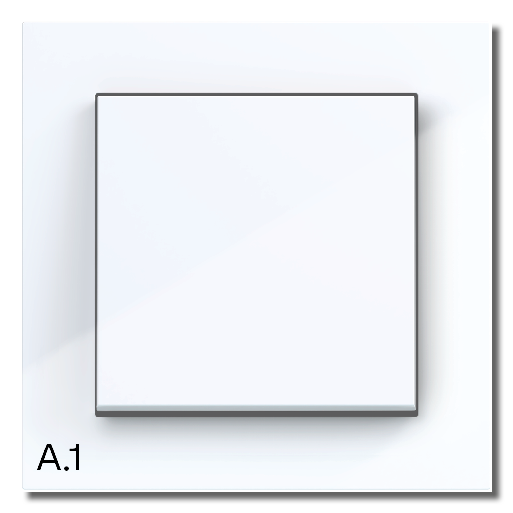 A1