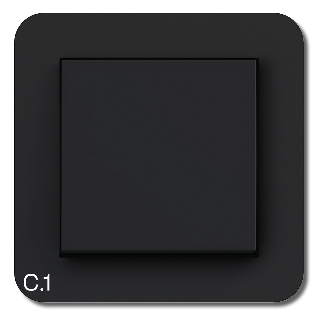 C1